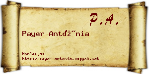Payer Antónia névjegykártya