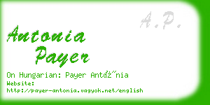 antonia payer business card